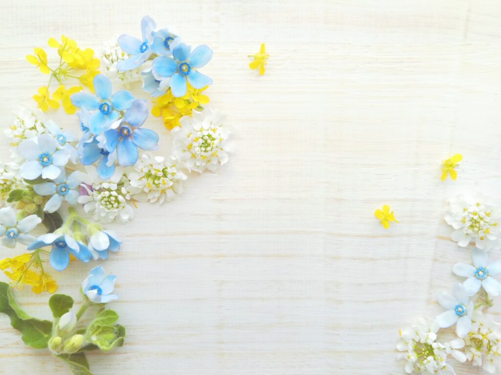 青と白の花
